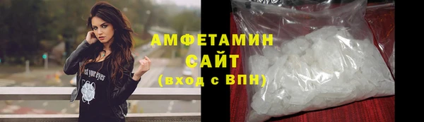 PSILOCYBIN Аркадак