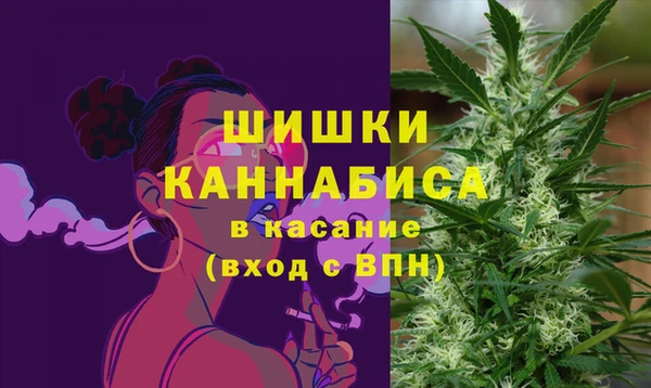 PSILOCYBIN Аркадак