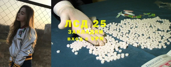 PSILOCYBIN Аркадак
