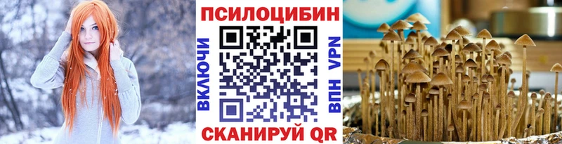 Купить где  Благовещенск  Галлюциногенные грибы GOLDEN TEACHER 